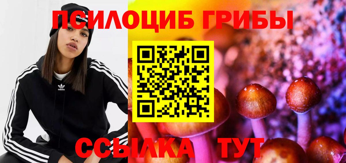 Россошь  Псилоцибиновые грибы мухоморы  Вход с VPN 